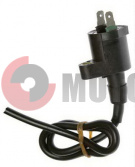 Катушка зажигания 2Т Honda DIO Катушка зажигания 2Т Honda DIO