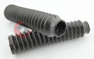 ����� ���� ����� ������