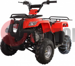  Avantis Hunter Junior 110cc 4 Lite ( 17 !!!)