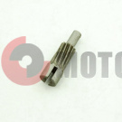 ������ ���������� ����