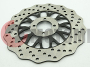 ���� �������.Gipsi200