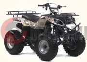  IRBIS ATV200 2003