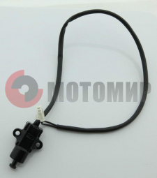 ������ �������� ����� �����250