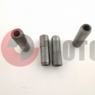 ������������ �������� ����� (4 ��.)