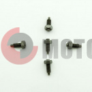 ���� ����������� ��������� Safari200