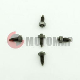 Винт регулировки коромысла Safari200 Винт регулировки коромысла Safari200