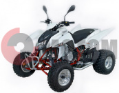 ATV QuadRaider 450 спортивный белый карбон ATV QuadRaider 450 спортивный белый карбон