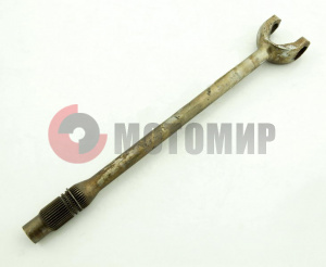 ������ ���� ����� ������ �����