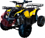  Avantis Hunter 7" Lite 125cc 4 ( 17 !!!)