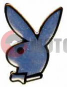 �������� �������� ����