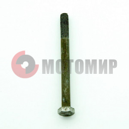 ���� ���������� ���