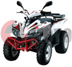 ATV QuadLander 200 ATV QuadLander 200