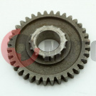 �������� ���� 1-� ��.(36�) ���������� ���� �������/���.