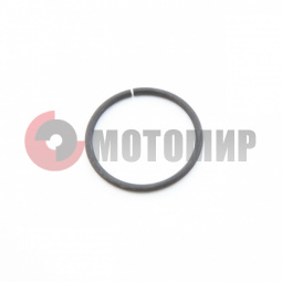 ������ �������.������ ����� (160240088)