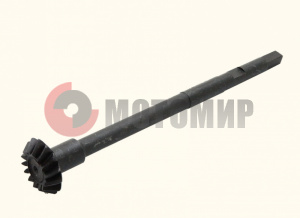 ��� ����� (������.) ��������.