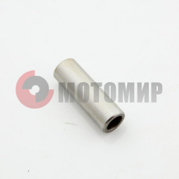 ����� �����