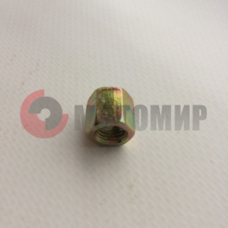 ����� ���� ������� �������� �������