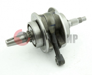 �������� 250�� ����� 169YMM