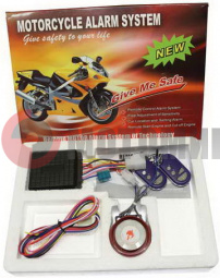 ������������ 1001 ������