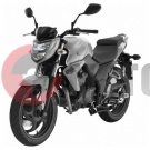 �������� SYM Wolf T2 250 ����� �������