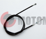 ���� ����� ���������