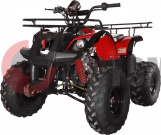 ���������� Avantis Hunter 8" Lite 125cc 4� (2018 ���)