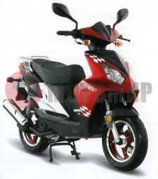 ������ Patron Shark 125