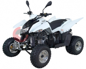 ATV QuadRaider 300 SD   